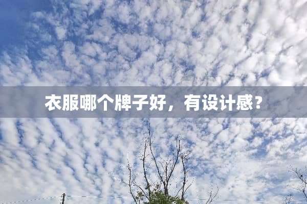衣服哪个牌子好，有设计感？