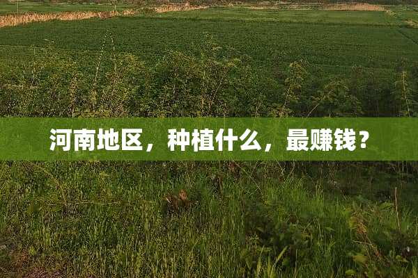 河南地区，种植什么，最赚钱？