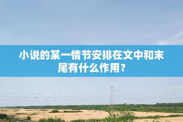 小说的某一情节安排在文中和末尾有什么作用？