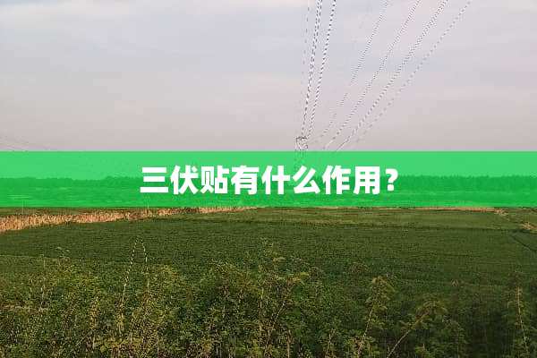 三伏贴有什么作用？