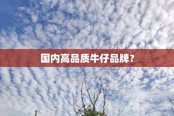 国内高品质牛仔品牌？