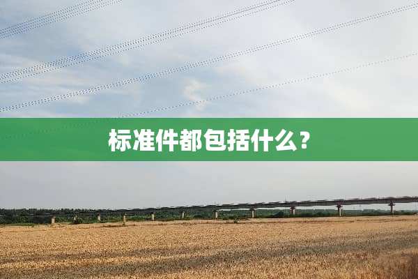 标准件都包括什么？