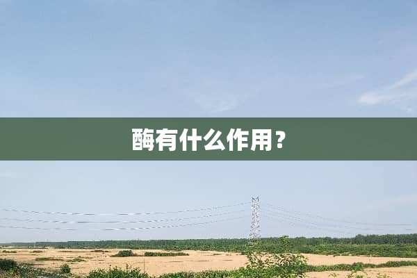 酶有什么作用？