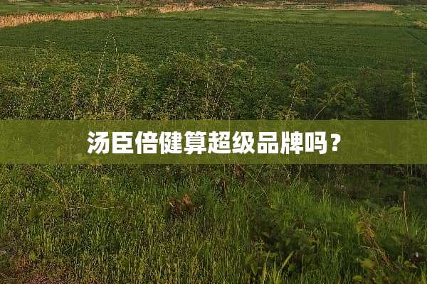 汤臣倍健算超级品牌吗？