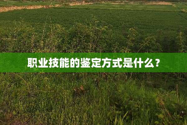 职业技能的鉴定方式是什么？