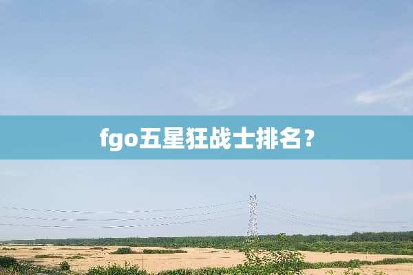 fgo五星狂战士排名？