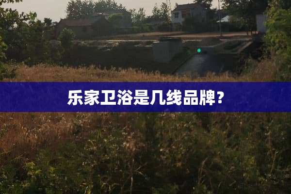 乐家卫浴是几线品牌？