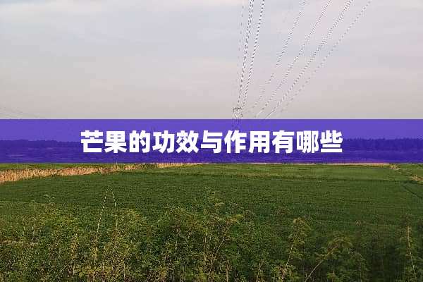 芒果的功效与作用有哪些
