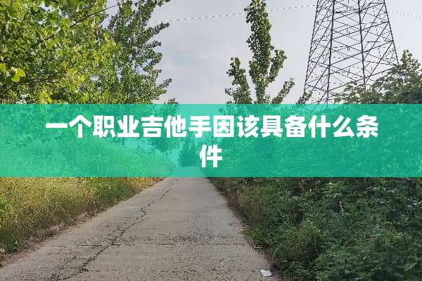 一个职业吉他手因该具备什么条件