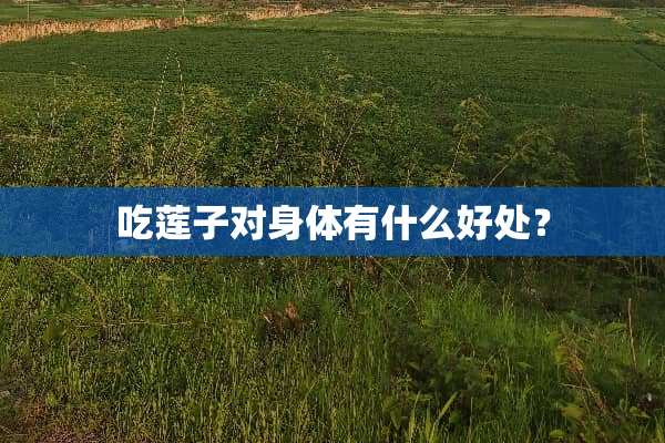 吃莲子对身体有什么好处？