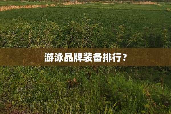 游泳品牌装备排行？