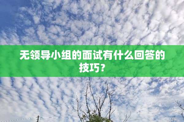 无领导小组的面试有什么回答的技巧？