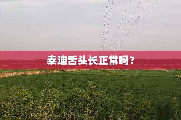 泰迪舌头长正常吗？