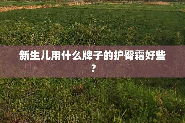 新生儿用什么牌子的护臀霜好些？