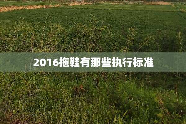 2016拖鞋有那些执行标准