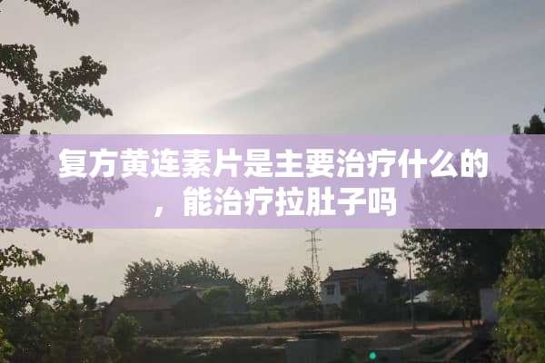 复方黄连素片是主要治疗什么的，能治疗拉肚子吗