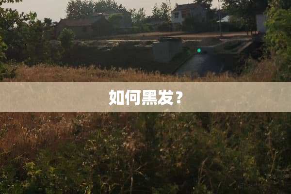 如何黑发？