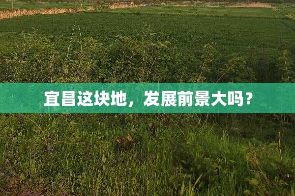 宜昌这块地，发展前景大吗？