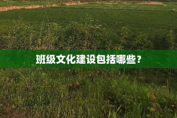 班级文化建设包括哪些？