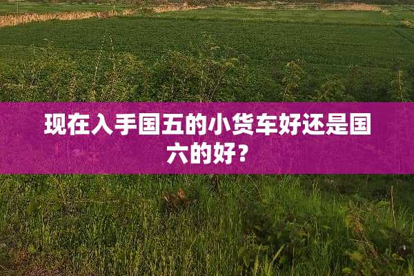 现在入手国五的小货车好还是国六的好？
