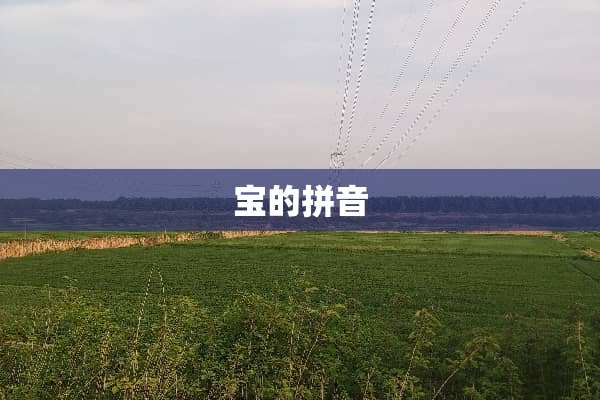 宝的拼音