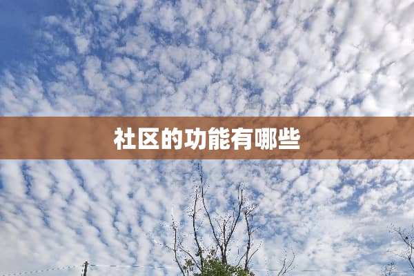 社区的功能有哪些