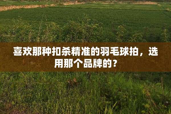 喜欢那种扣杀精准的羽毛球拍，选用那个品牌的？