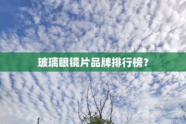 玻璃眼镜片品牌排行榜？