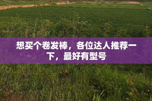 想买个卷发棒，各位达人推荐一下，最好有型号