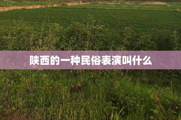 陕西的一种民俗表演叫什么