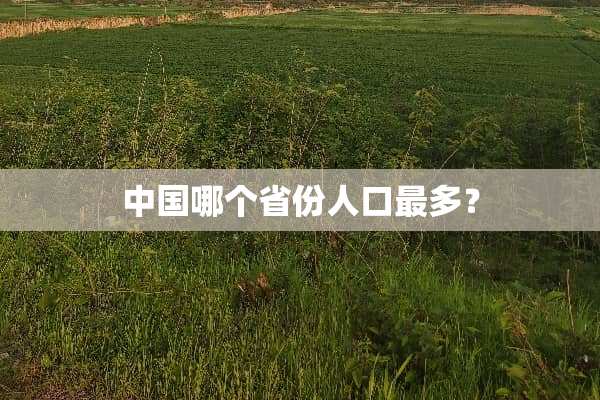 中国哪个省份人口最多？