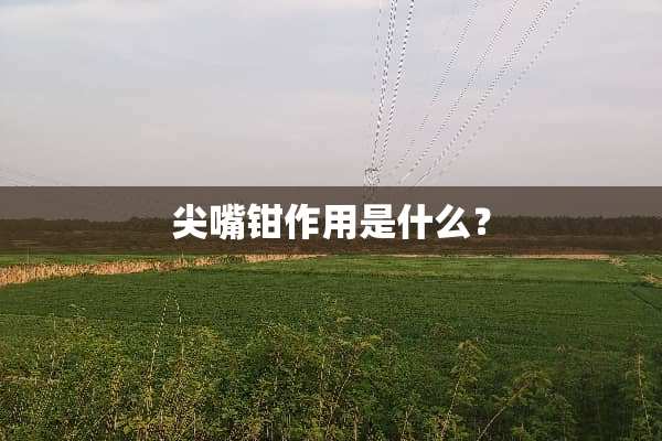 尖嘴钳作用是什么？