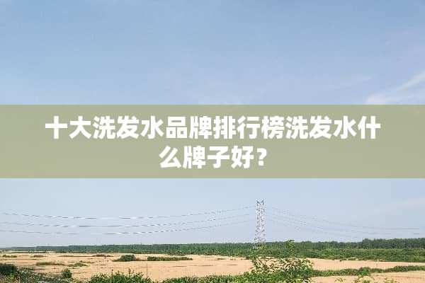 十大洗发水品牌排行榜洗发水什么牌子好？