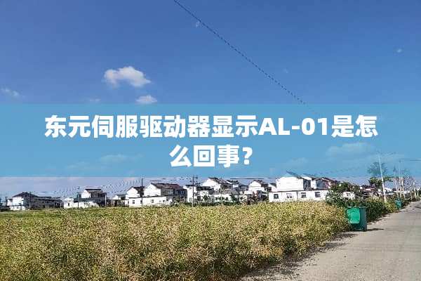 东元伺服驱动器显示AL-01是怎么回事？