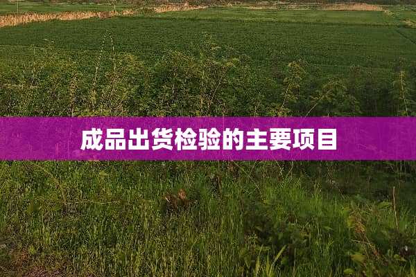成品出货检验的主要项目