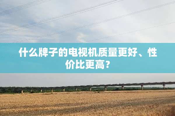 什么牌子的电视机质量更好、性价比更高？