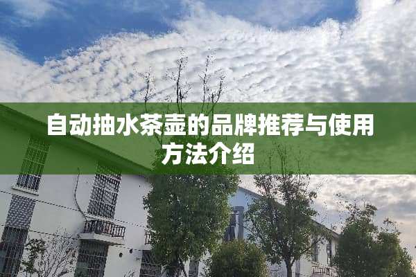 自动抽水茶壶的品牌推荐与使用方法介绍