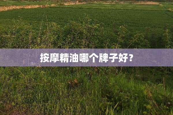 按摩精油哪个牌子好？