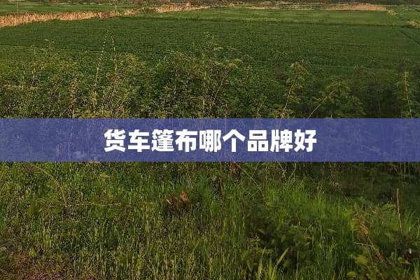 货车篷布哪个品牌好