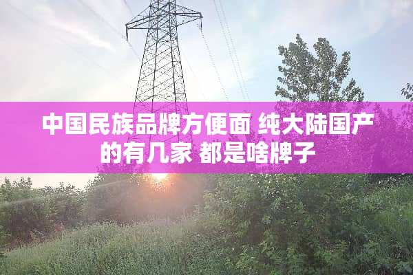 中国民族品牌方便面 纯**国产的有几家 都是啥牌子