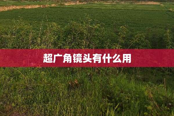 超广角镜头有什么用