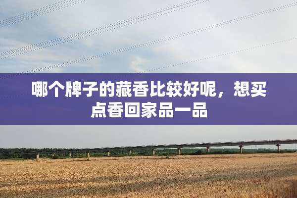 哪个牌子的藏香比较好呢，想买点香回家品一品