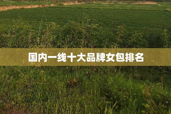 国内一线十大品牌女包排名