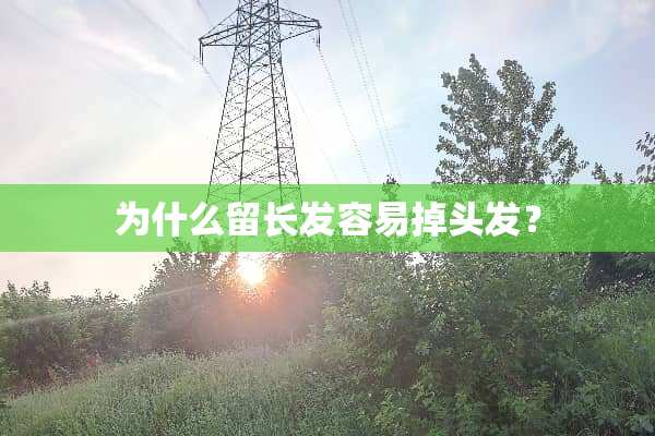 为什么留长发容易掉头发？