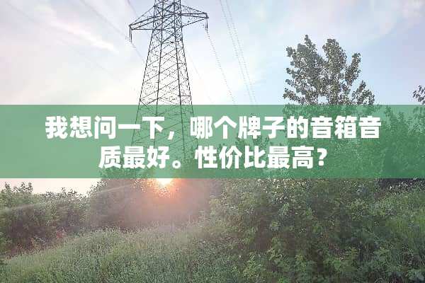 我想问一下，哪个牌子的音箱音质最好。性价比最高？