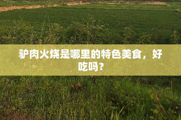 驴肉火烧是哪里的特色美食，好吃吗？