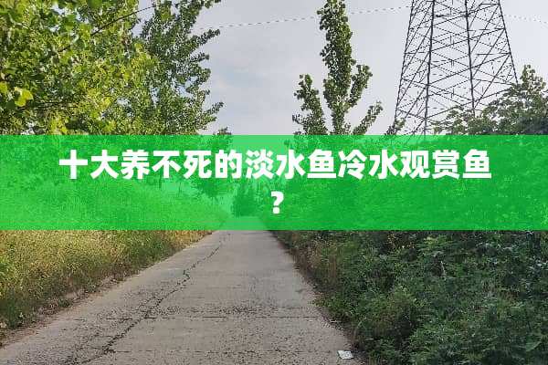 十大养不死的淡水鱼冷水观赏鱼？