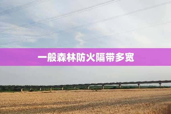 一般森林防火隔带多宽