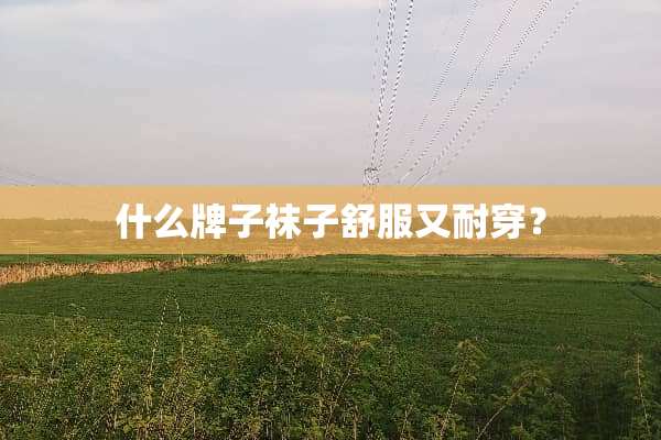 什么牌子袜子舒服又耐穿？