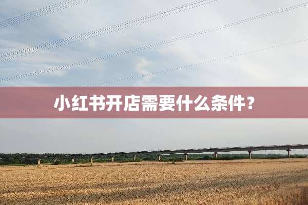 小红书开店需要什么条件？